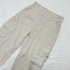 American Eagle Stretch Cargo Pants